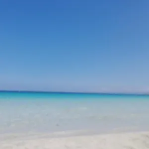 https://miklod-apartments.palermohotels.org
